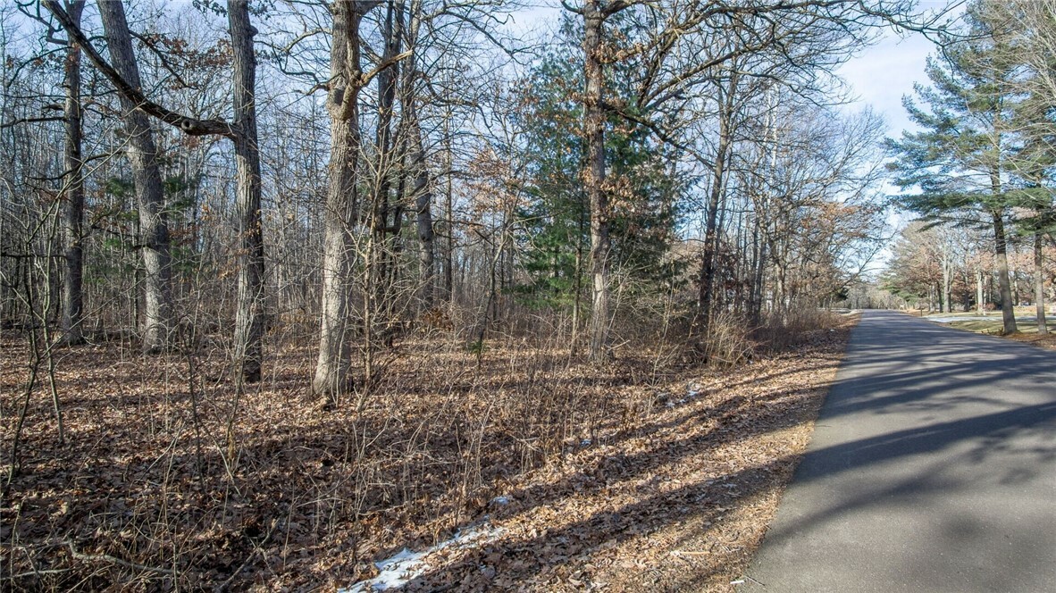 Property Photo: Lot 1 159th Street WI 54729