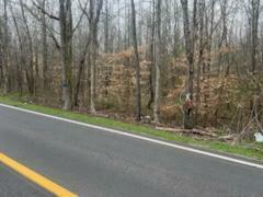 Property Photo: Lot 15 Highway 304 TN 37322