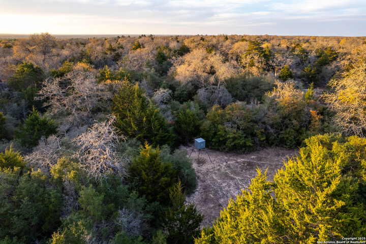 Property Photo: 1512 Boulder Lane TX 78632