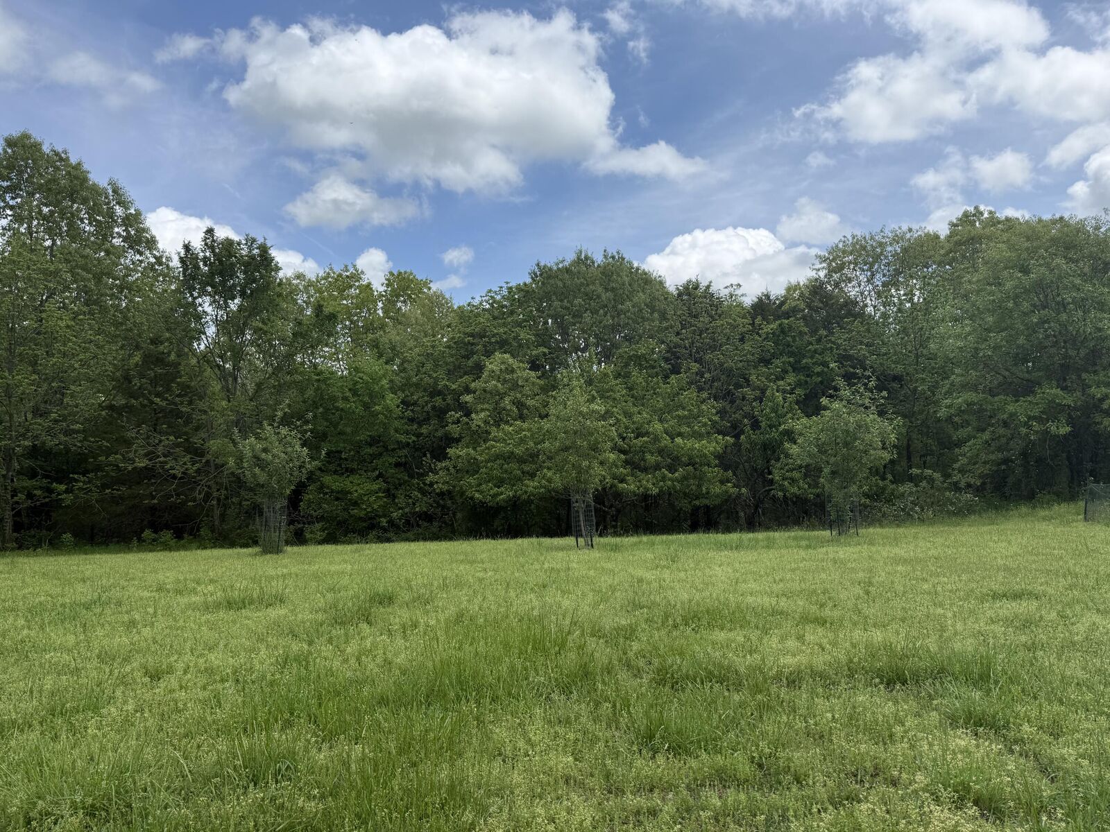 Property Photo:  3450 Reno Hollow Road  MO 65737 