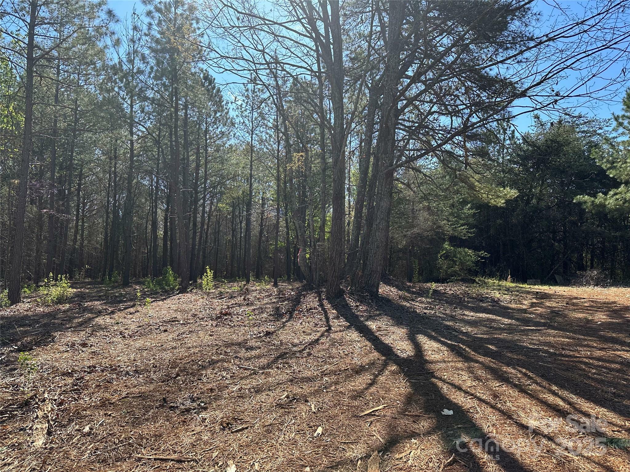 Property Photo: 4281 East Maiden Road NC 28650