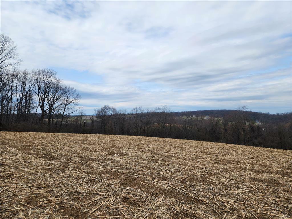 8278 Carpet Road Lot 1  Weisenberg Twp PA 18066 photo
