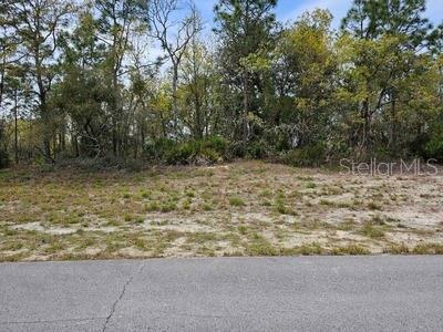 00 SW 77th Avenue  Ocala FL 34473 photo