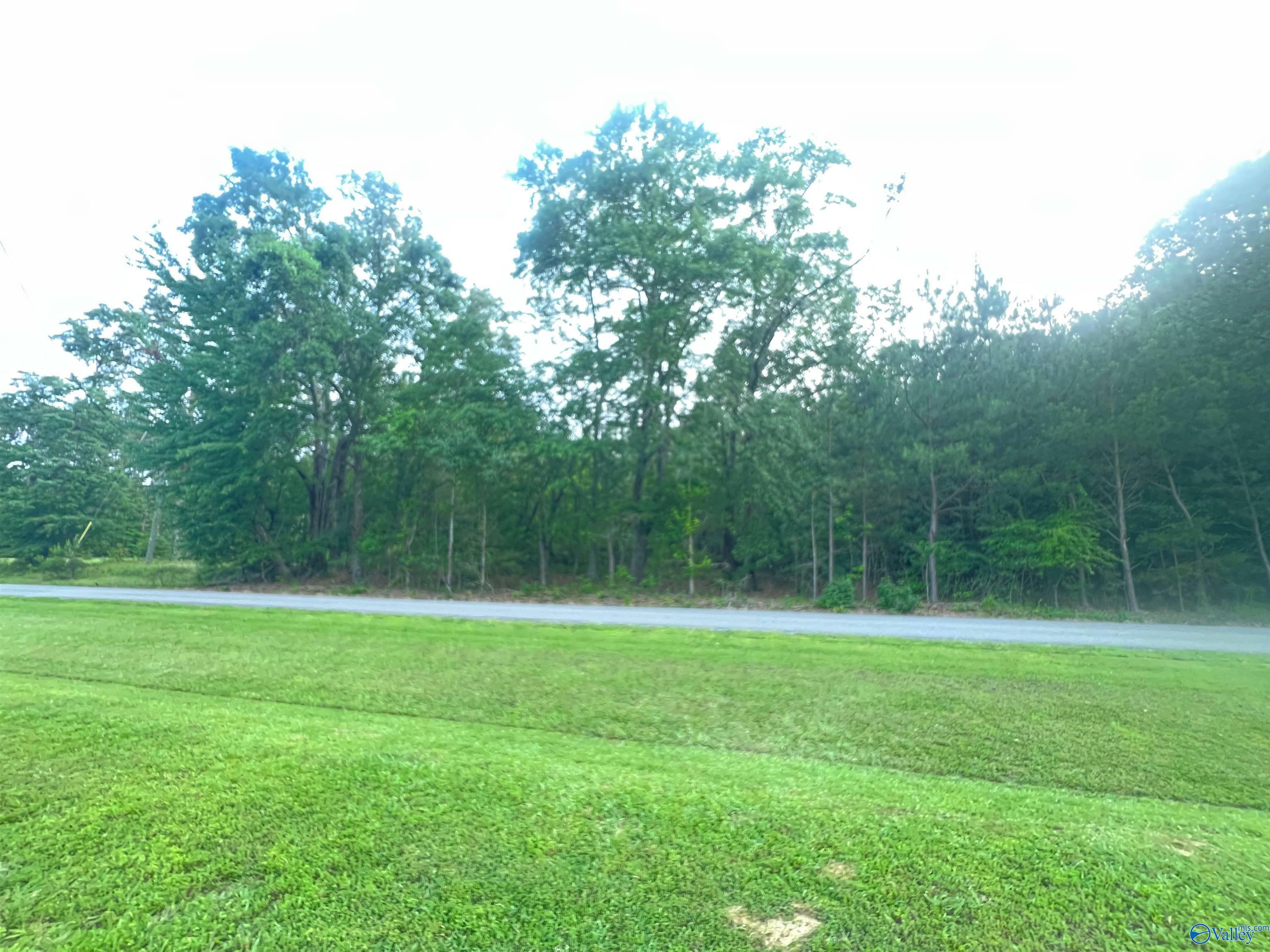 Property Photo: 6.14 Charada Lake Road AL 35906
