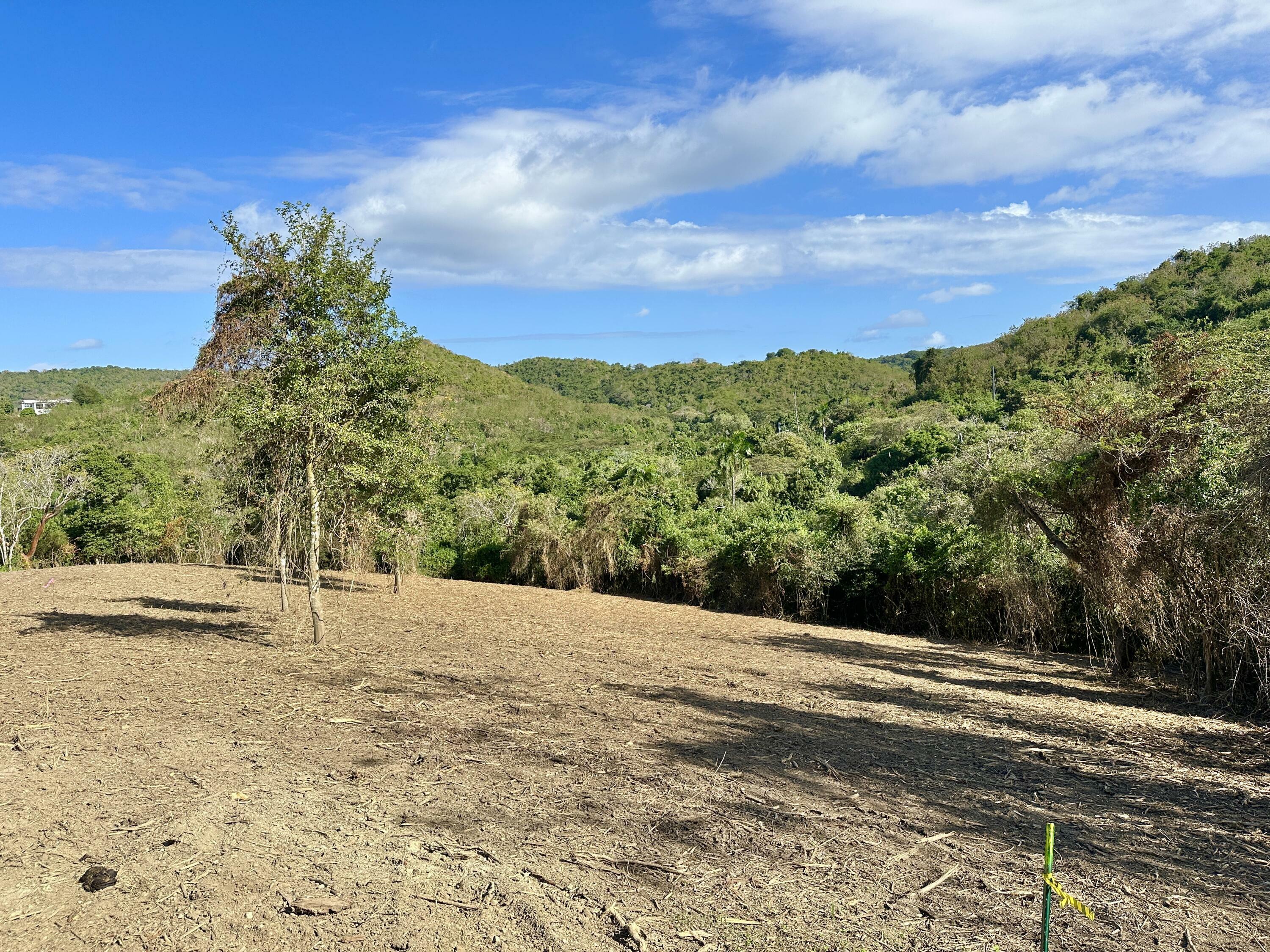 Property Photo: Rem 9A Montpellier Pr VI 00840