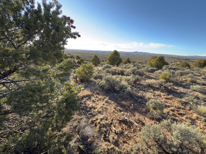Property Photo: Rahill Cul De Sac NM 87557