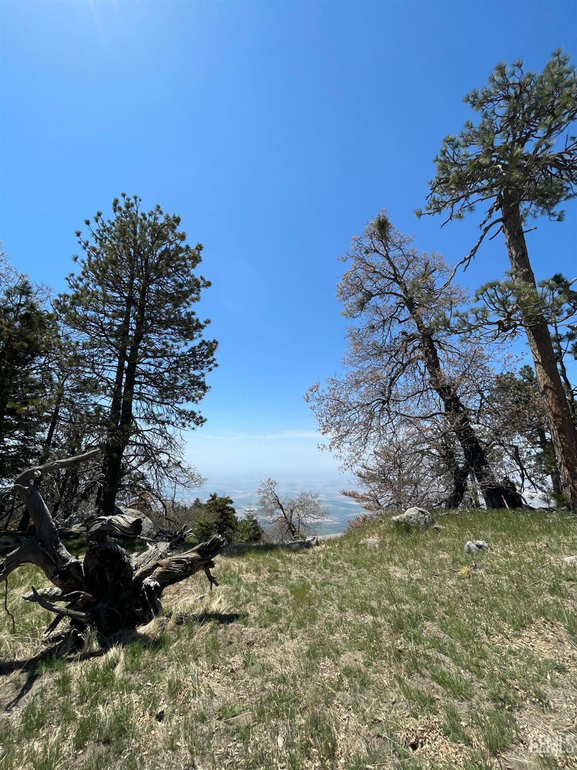 Property Photo:  26981 Medicine Bow Court  CA 93561 