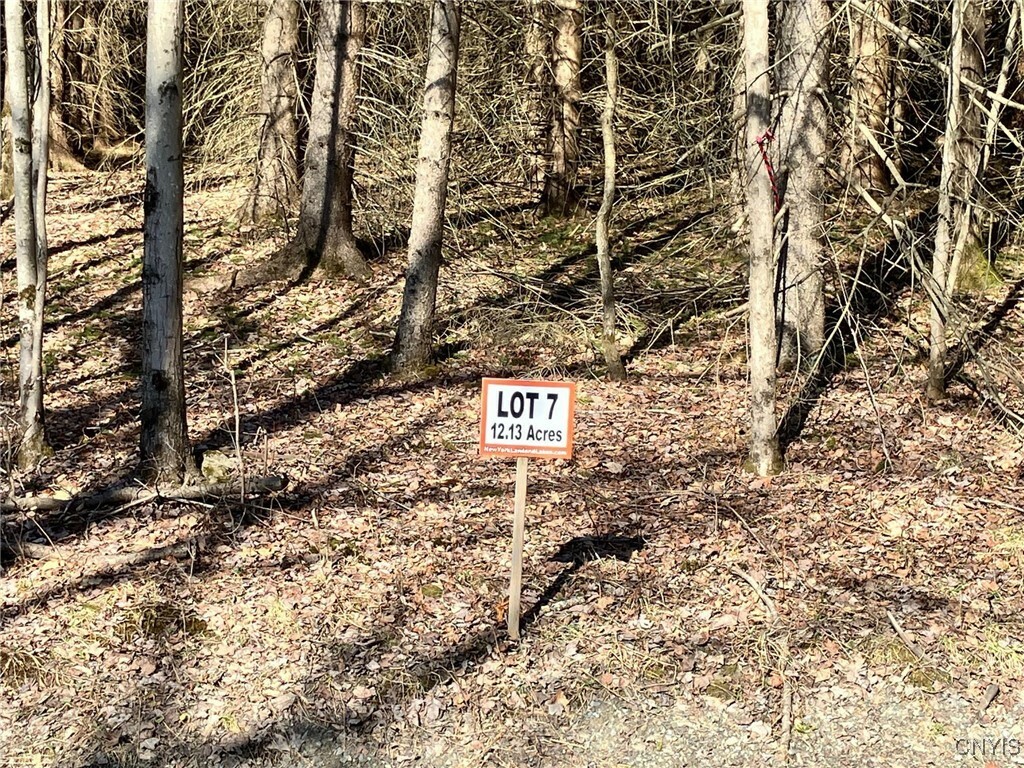 Property Photo: 50 Buchanan Road NY 13865