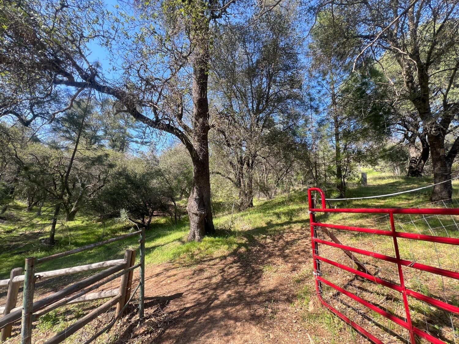 Property Photo:  18907 Shake Ridge Rd  CA 95685 