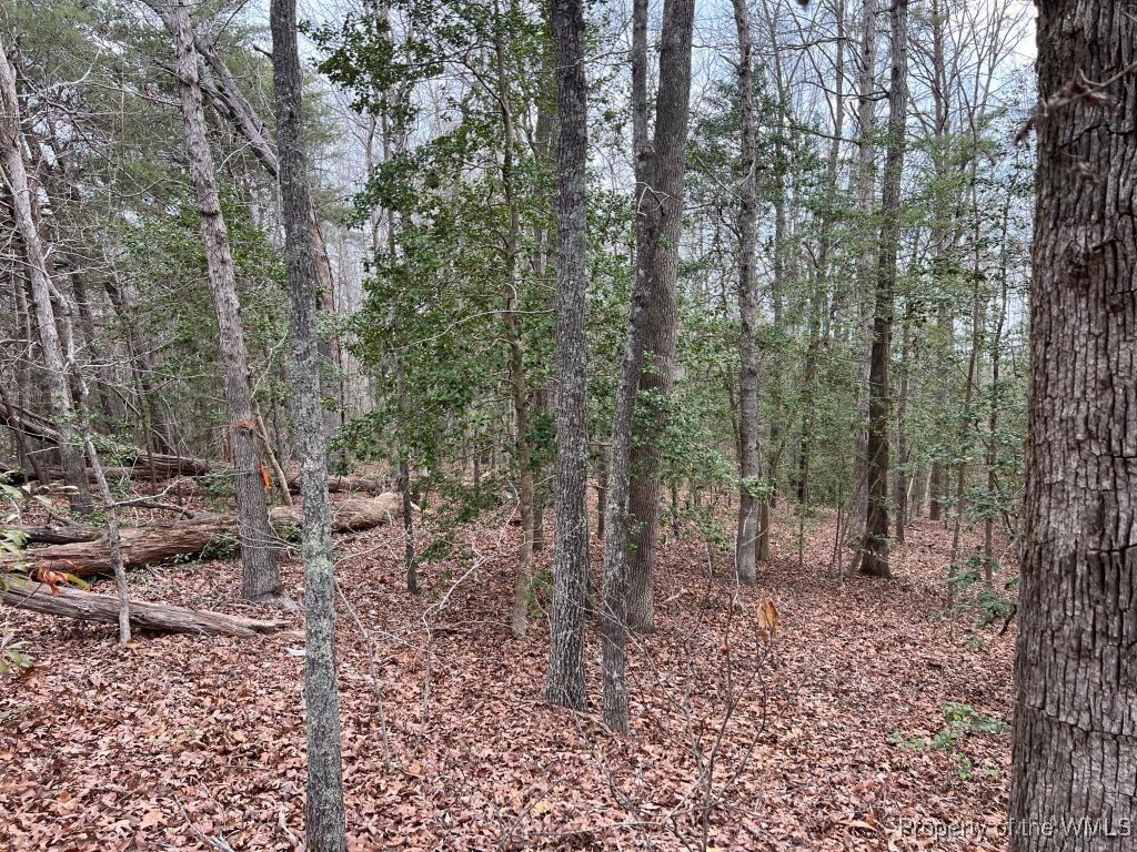 Property Photo:  136 Leisure Road  VA 23168 