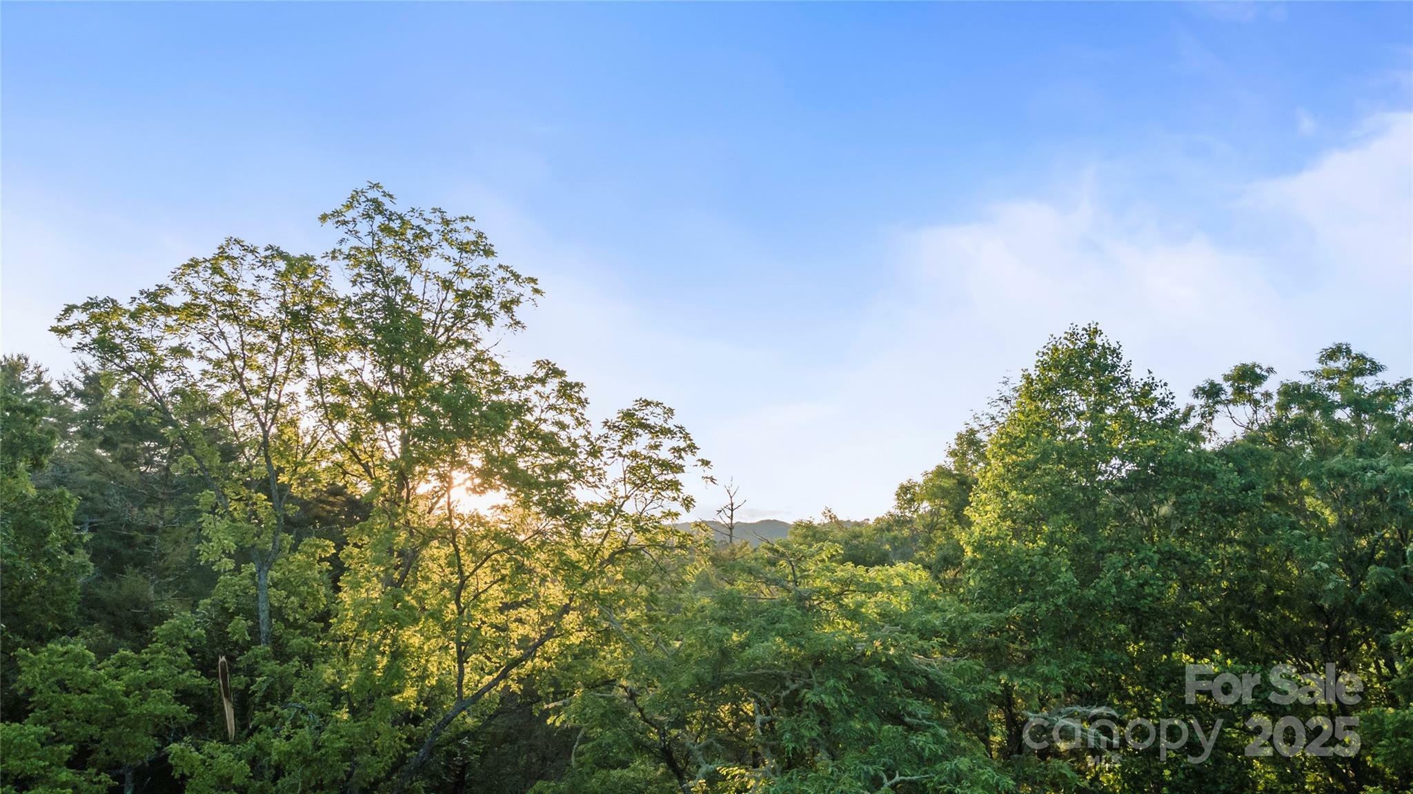 Property Photo: 99999 Bear Creek Road 38 NC 28753