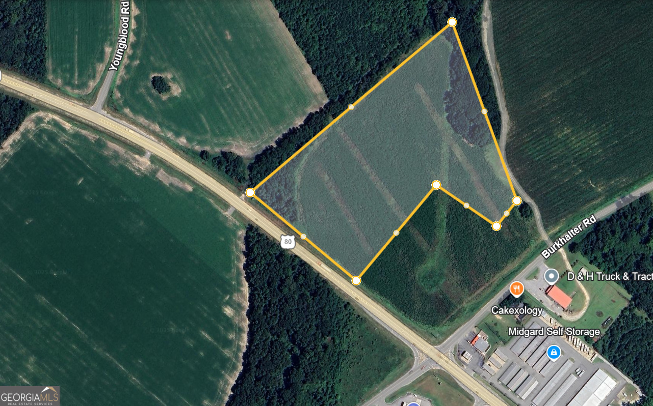 Property Photo: 0 Highway 80 E GA 30461
