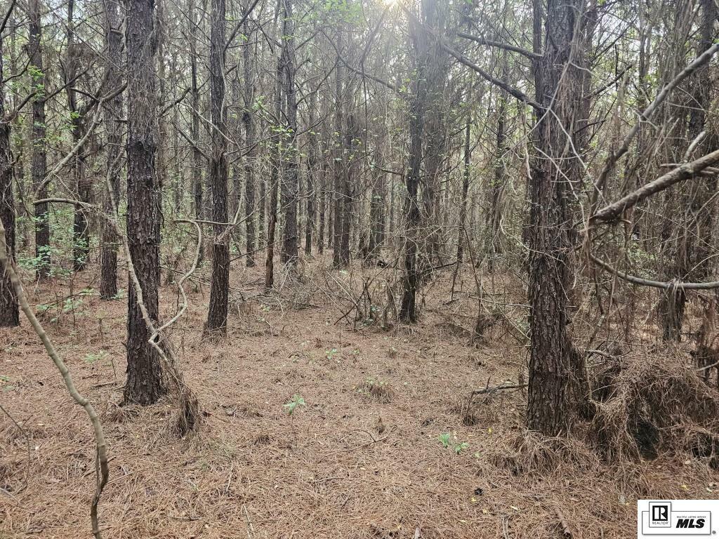 Property Photo: 000 County Line Road LA 71270