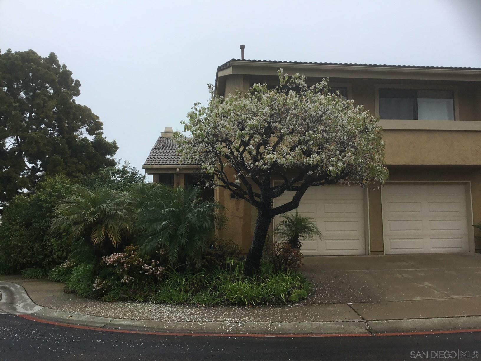 6645 Caminito Scioto  La Jolla CA 92037 photo