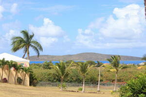 Property Photo: 36 Hope & Carton H Eb VI 00820