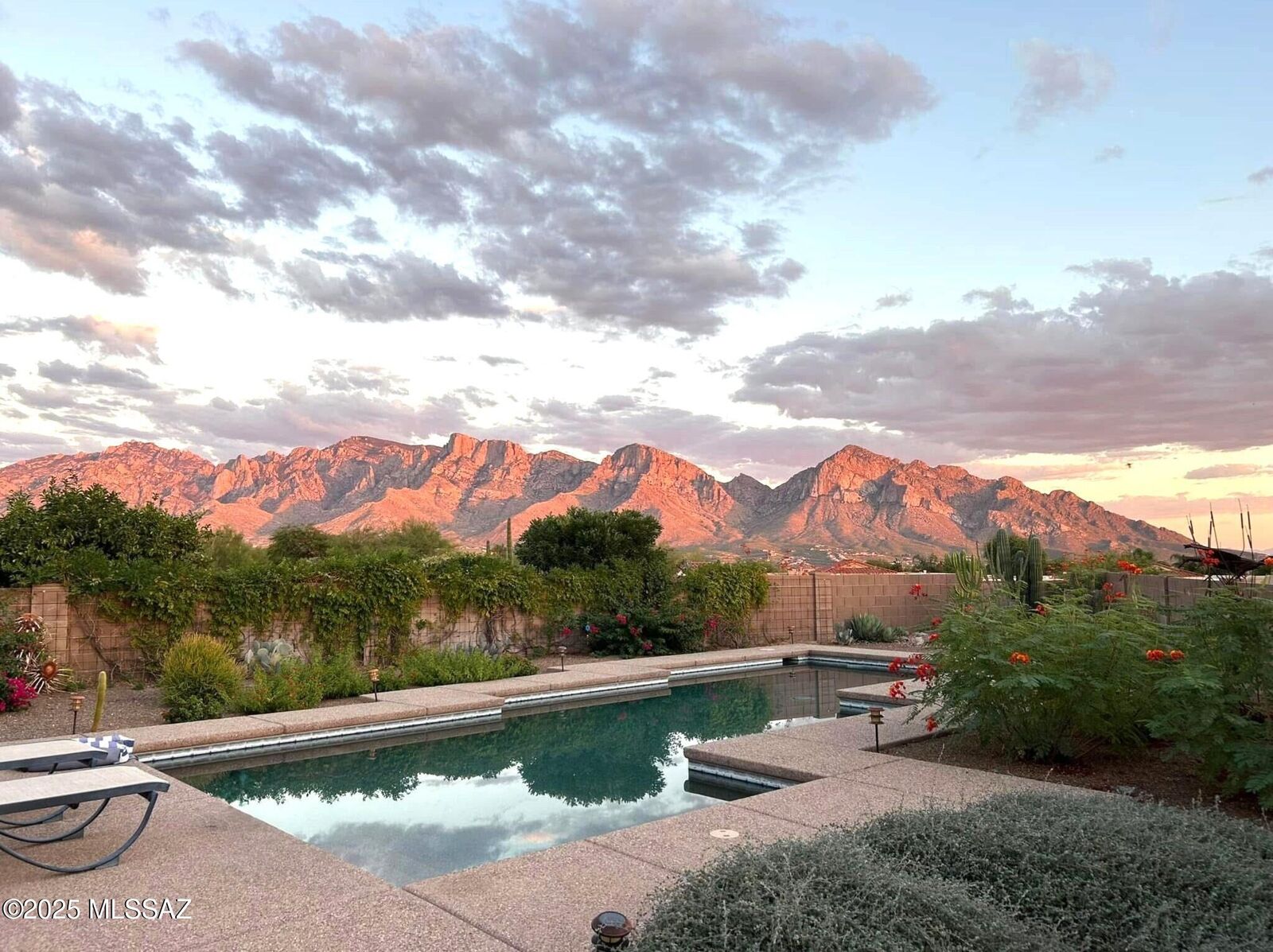 Property Photo:  11895 N Monterra Vista Drive  AZ 85737 