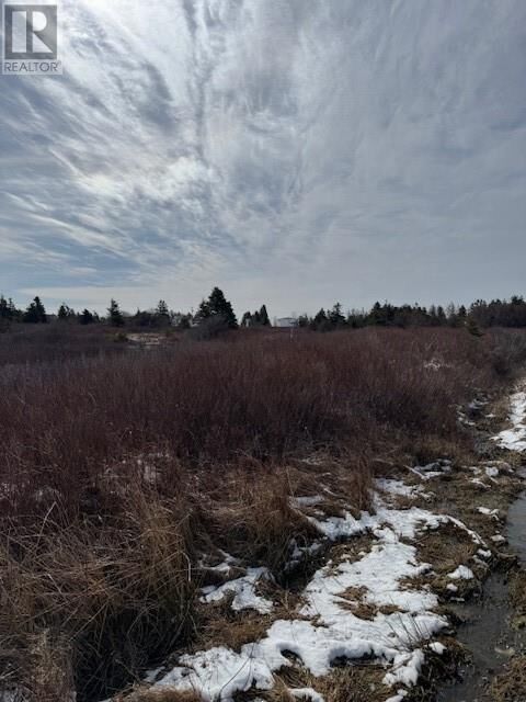 Property Photo:  26 Bears Cove Road  NL A0A 1G0 