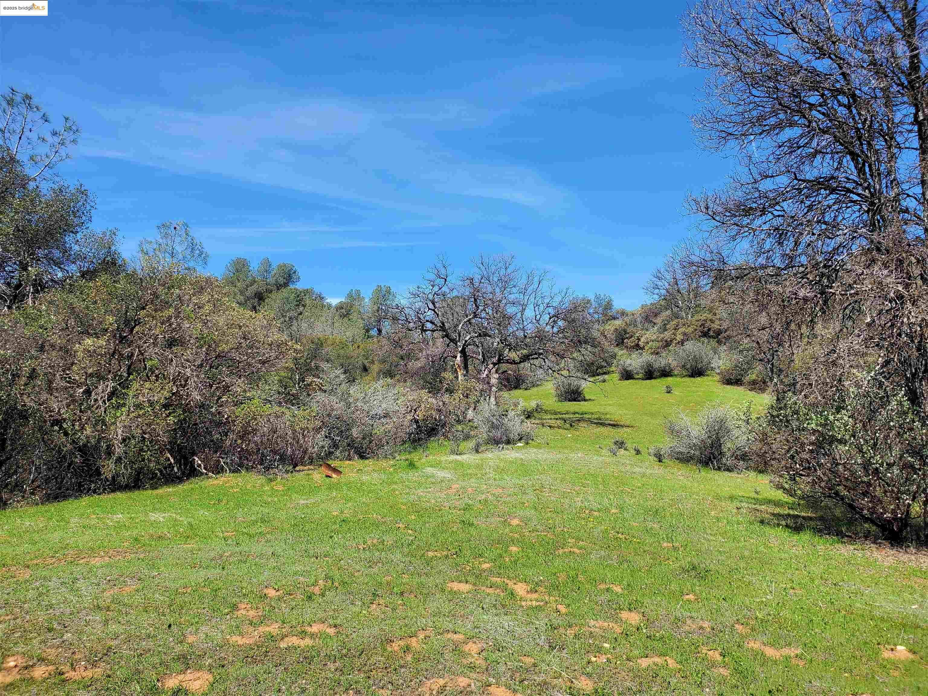 20350 Soulsbyville Road  Soulsbyville CA 95372 photo