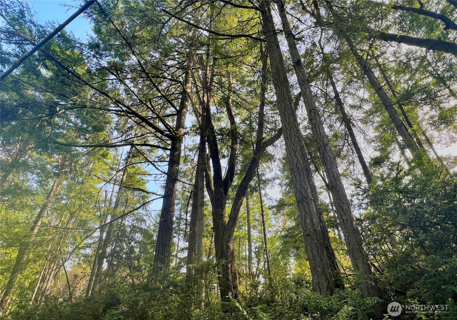Property Photo:  80  Cougar Hills Lane  WA 98563 