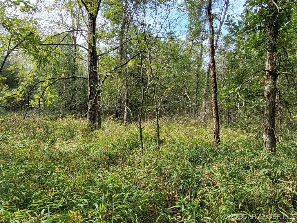 Property Photo: Bell Place 3525 &Amp 3526 MO 65326