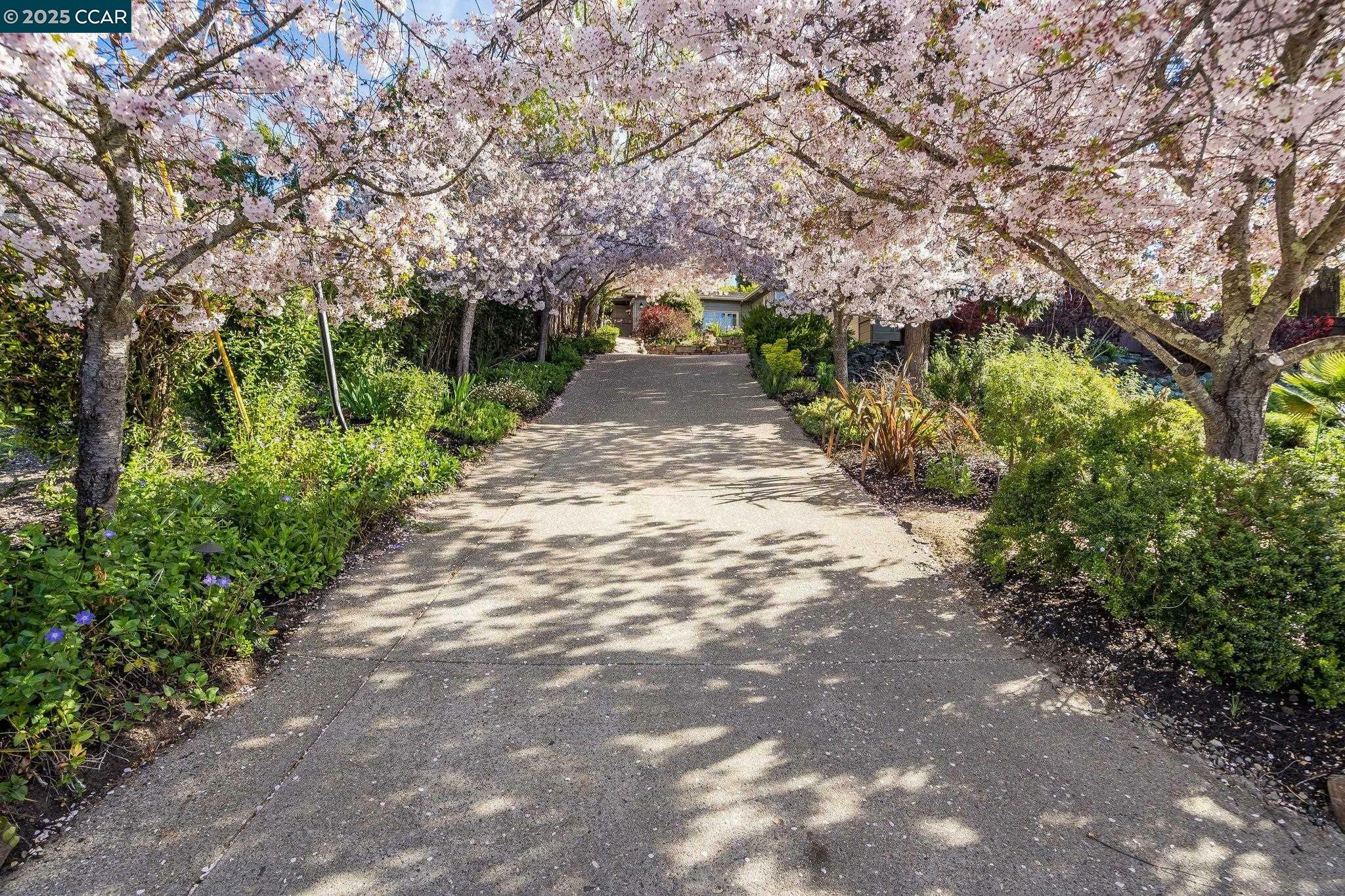 53 Van Ripper Ln  Orinda CA 94563 photo