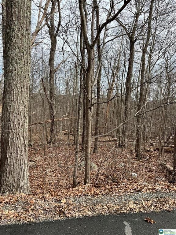 Property Photo: 190 Williams Lane PA 18355