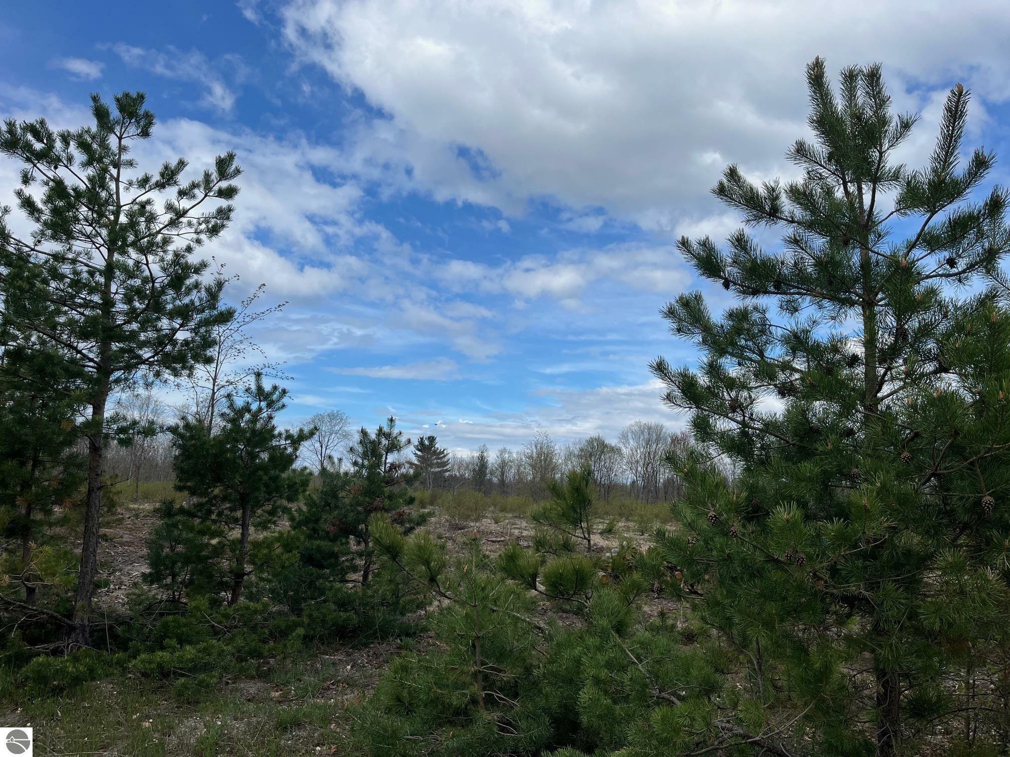 Property Photo:  Carmean Road  MI 49640 