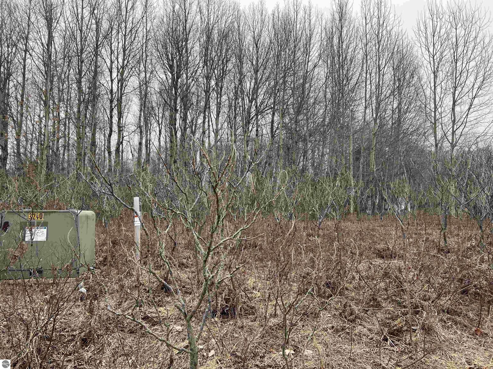 Property Photo:  Lot 20 Crestview Drive  MI 49601