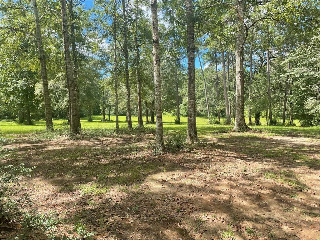 Property Photo: 17338 Hunt Road LA 70435