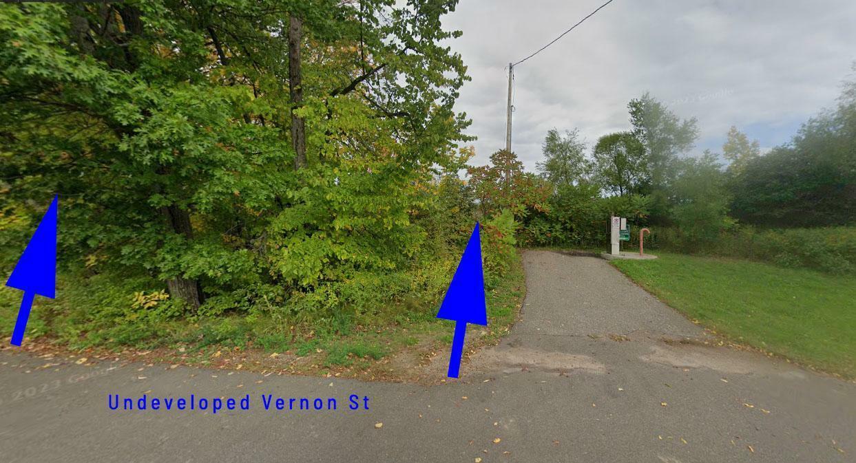 Property Photo: Govlot2 Vernon Street MN 56450