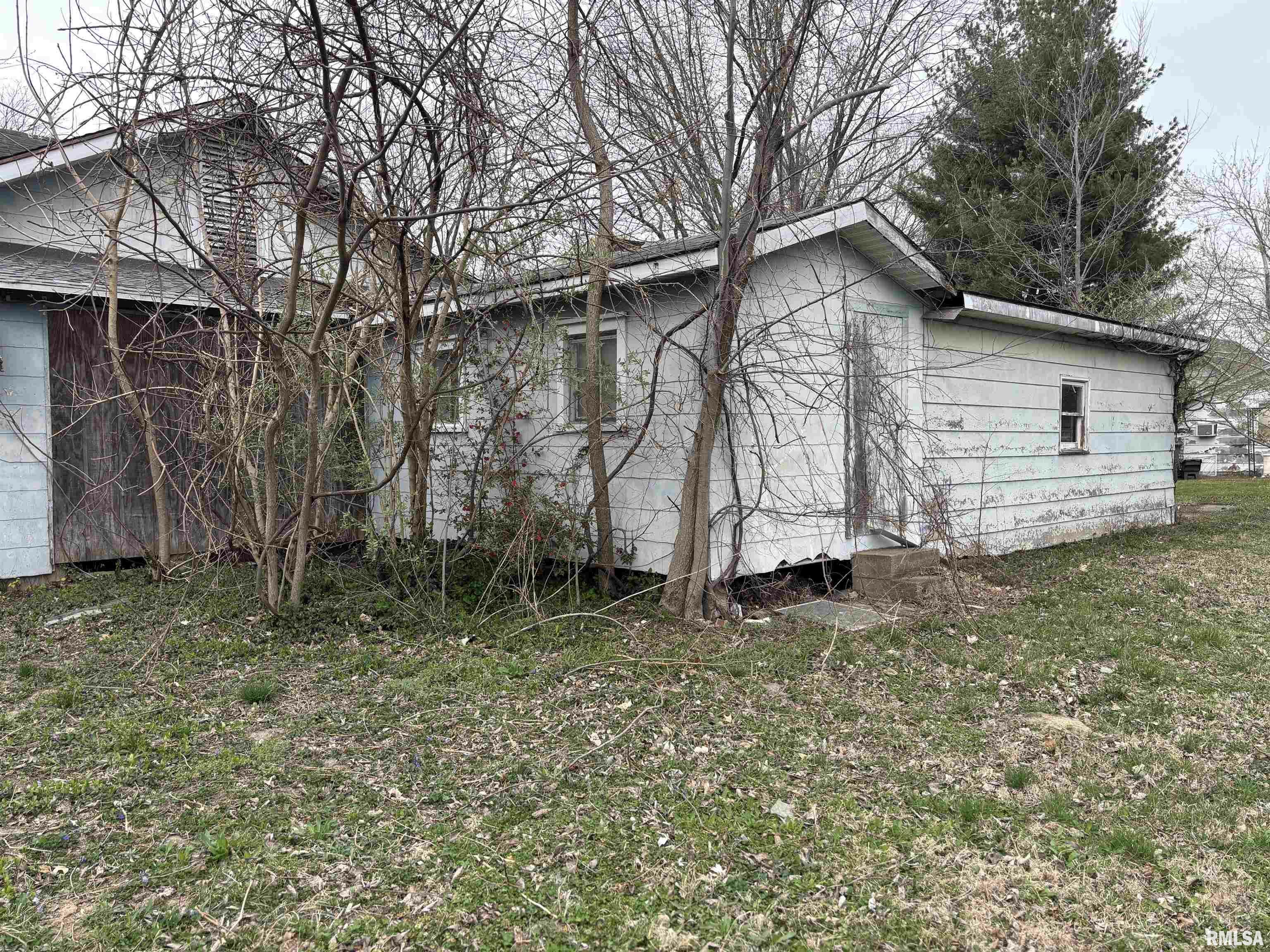 Property Photo: 106 S 1st Street IL 62932
