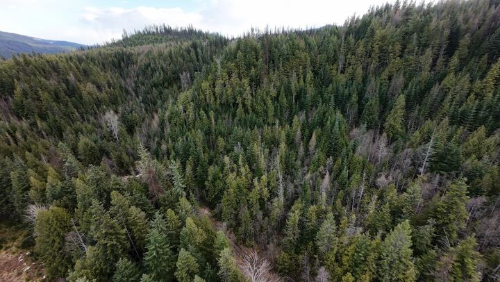 7301 Wa-31 Hwy  Ione WA 99139 photo