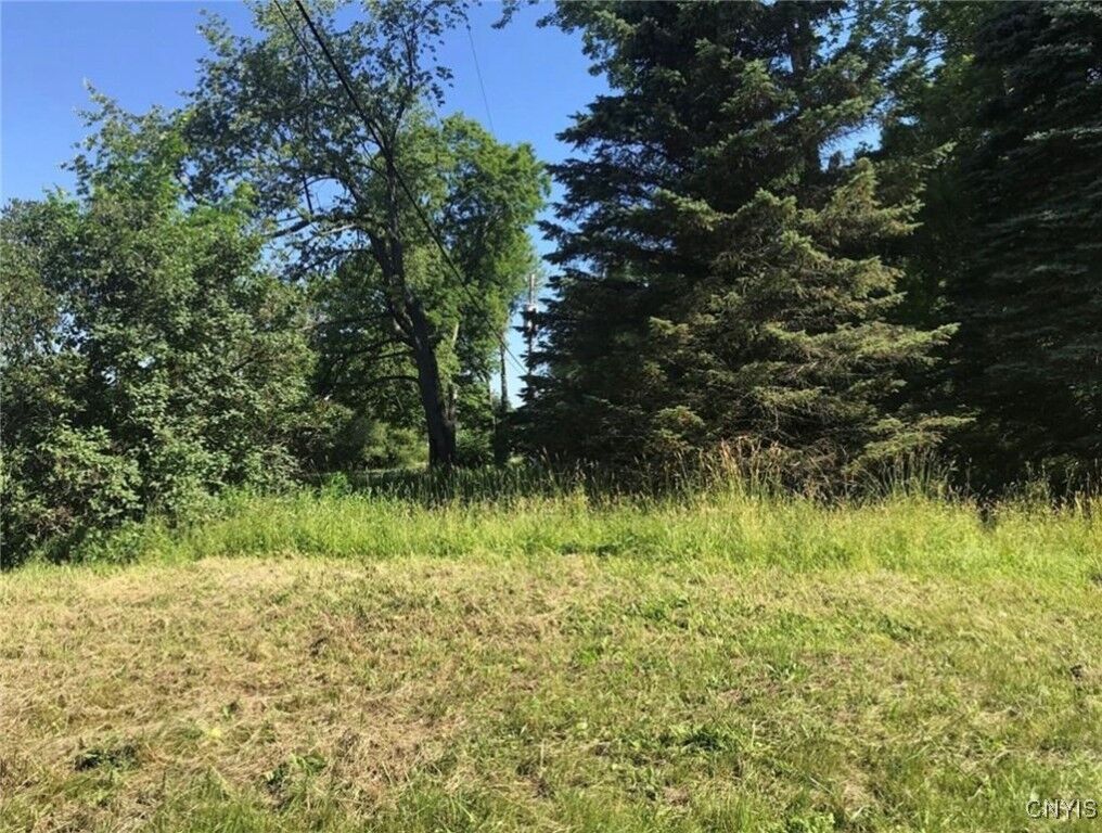 Property Photo:  1327 Old State Road  NY 13156 