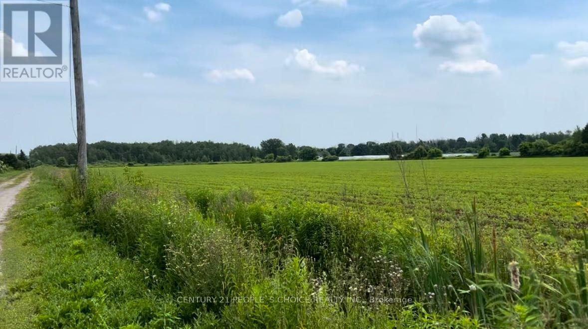 Property Photo:  325 Lipchey Road  ON L3Y 4V9 