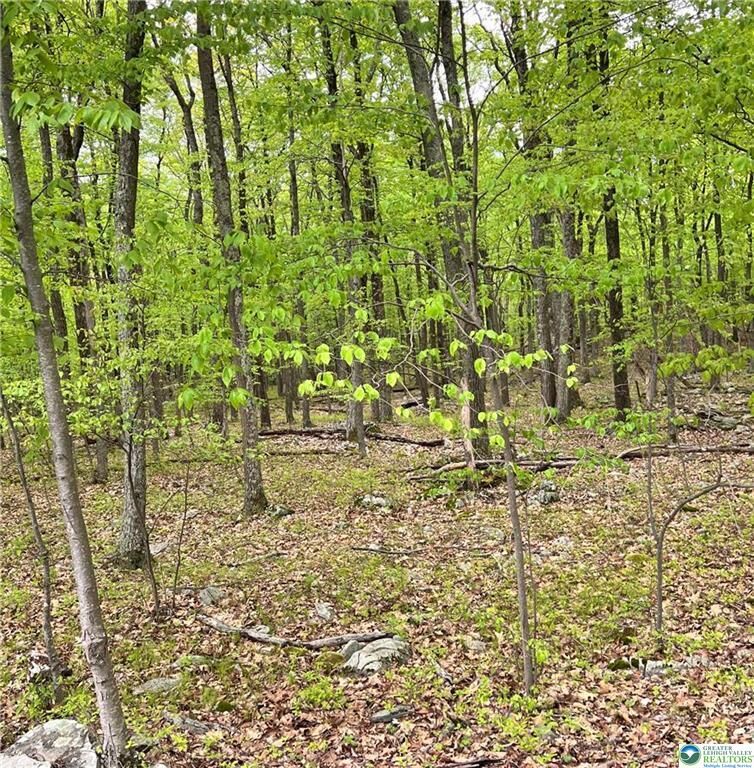 Property Photo: 209 Cherry Lane PA 18210