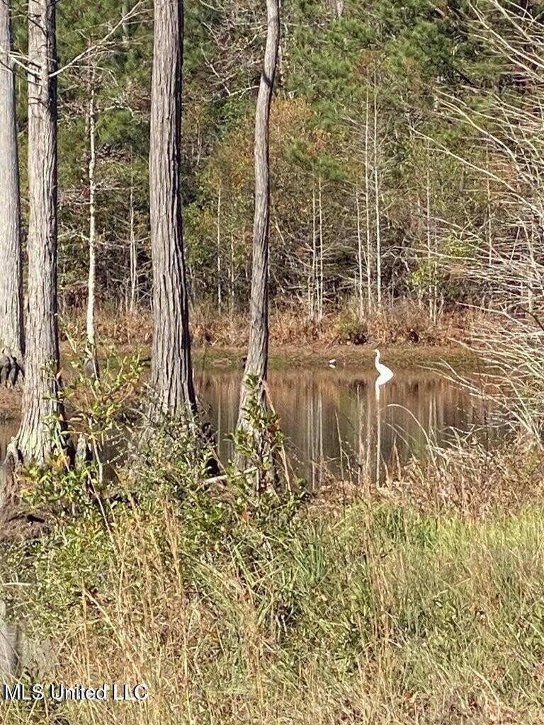 Old Hwy 49  Gulfport MS 39503 photo