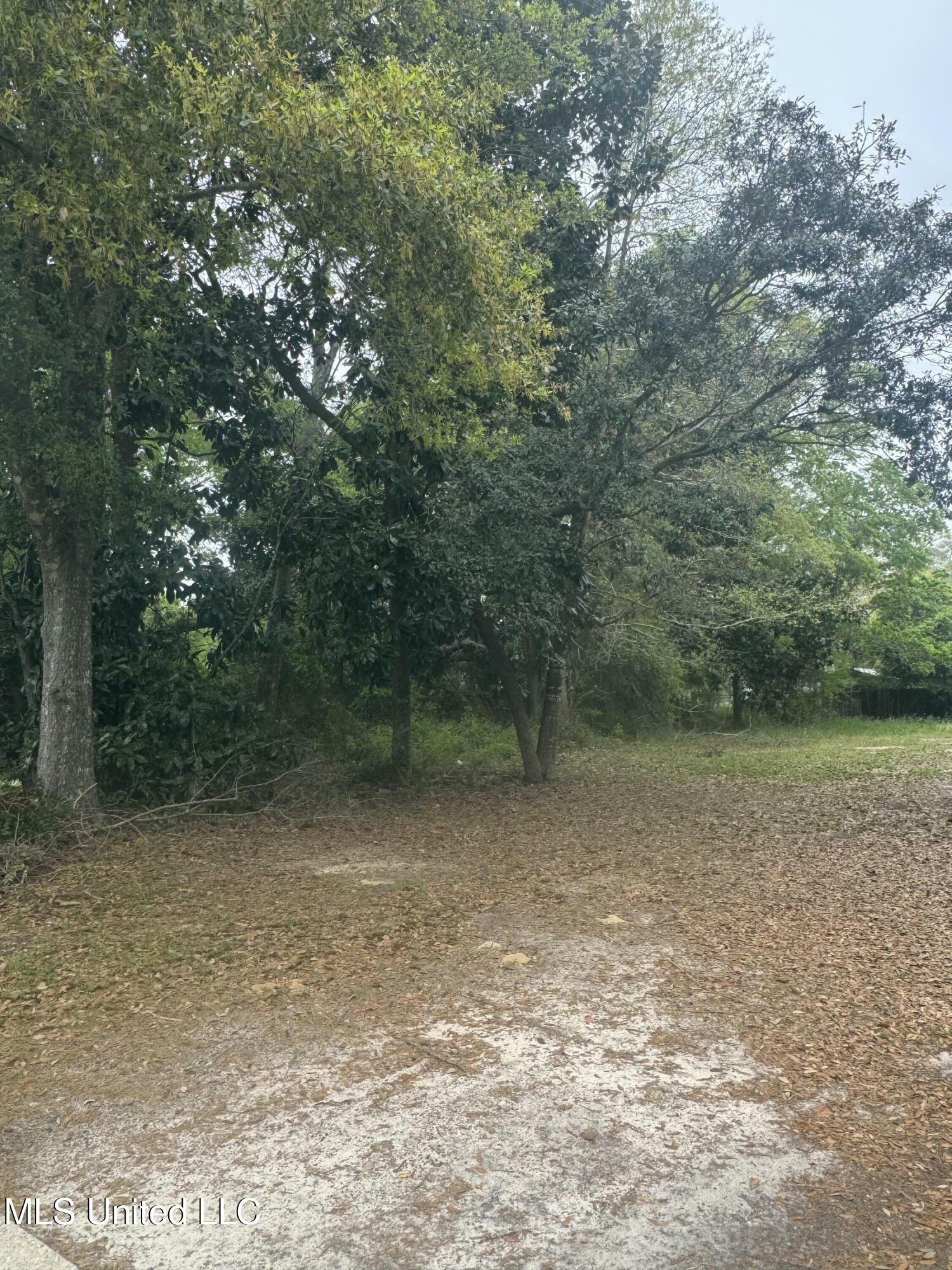 Property Photo: Lindhridge Drive MS 39507
