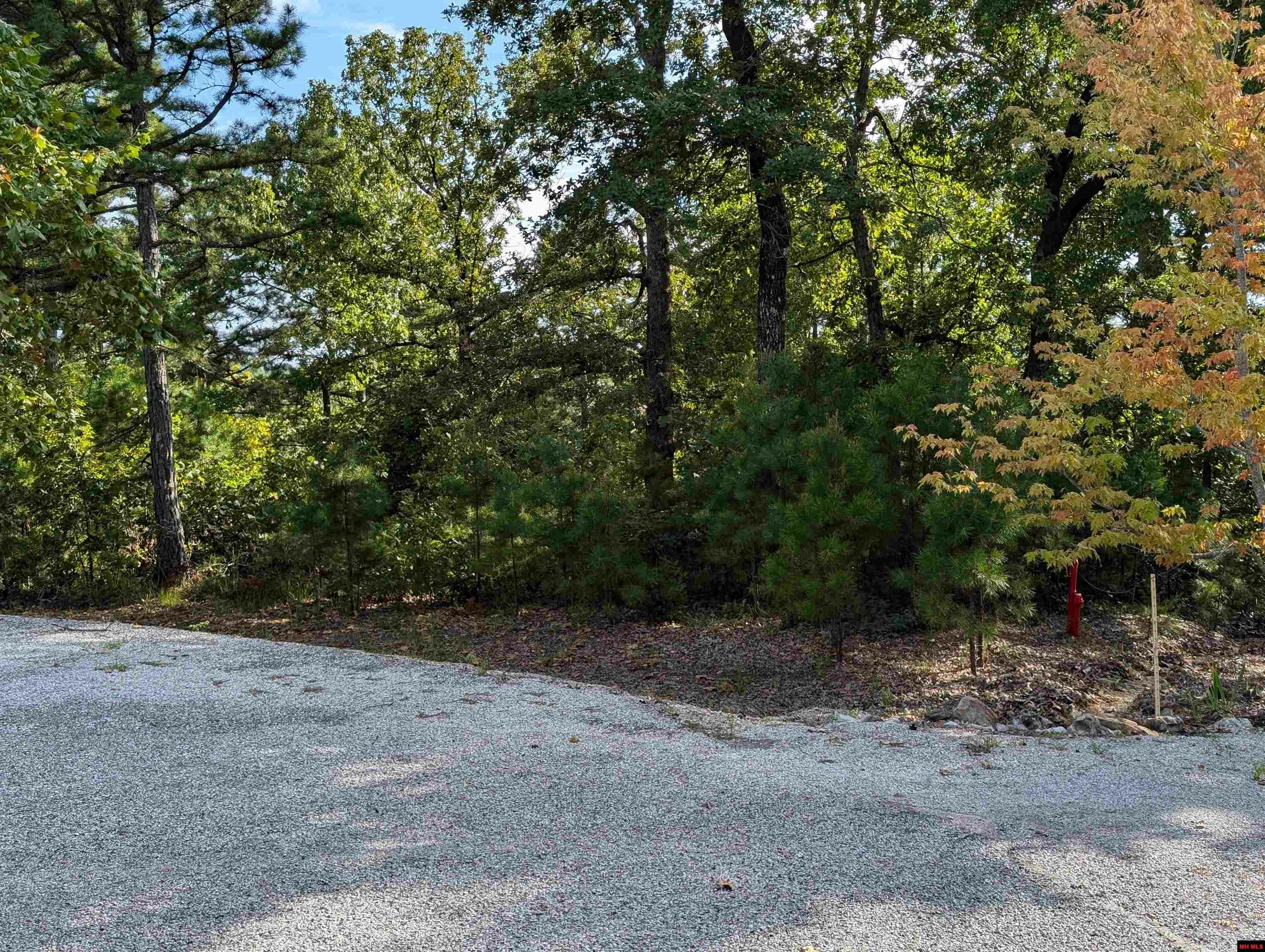 Property Photo: Lot 13 Ozark View Court AR 72658