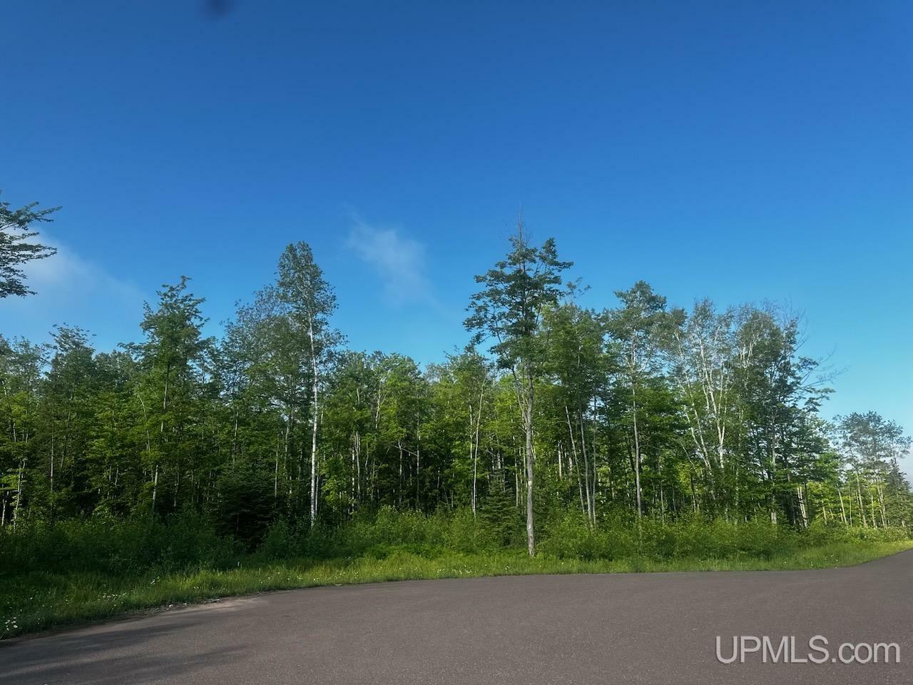 Property Photo: Unit 6 Greenway Drive MI 49916