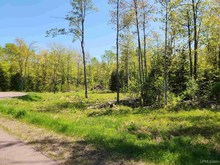 Unit 6 Greenway Drive  Chassell MI 49916 photo