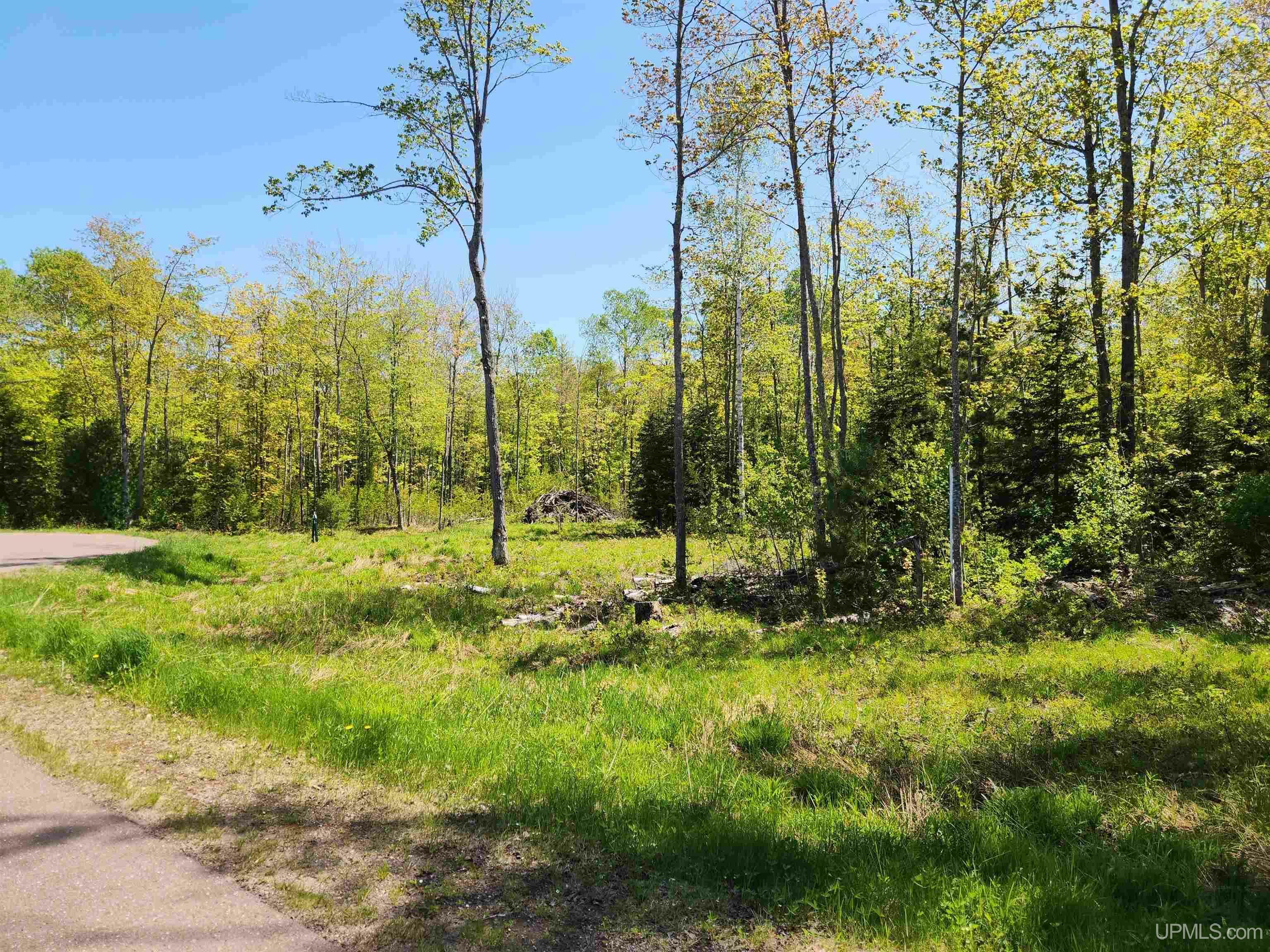 Property Photo: Unit 6 Greenway Drive MI 49916