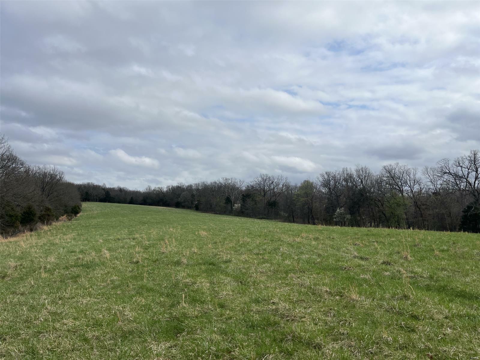 0 31.26+/- Ac Tract #3 Horstman Road  New Haven MO 63068 photo