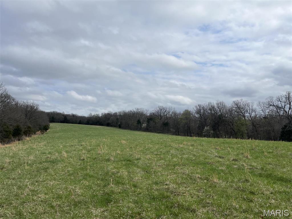 (31.26+/-Ac) Tract #3 Horstman Road  New Haven MO 63068 photo