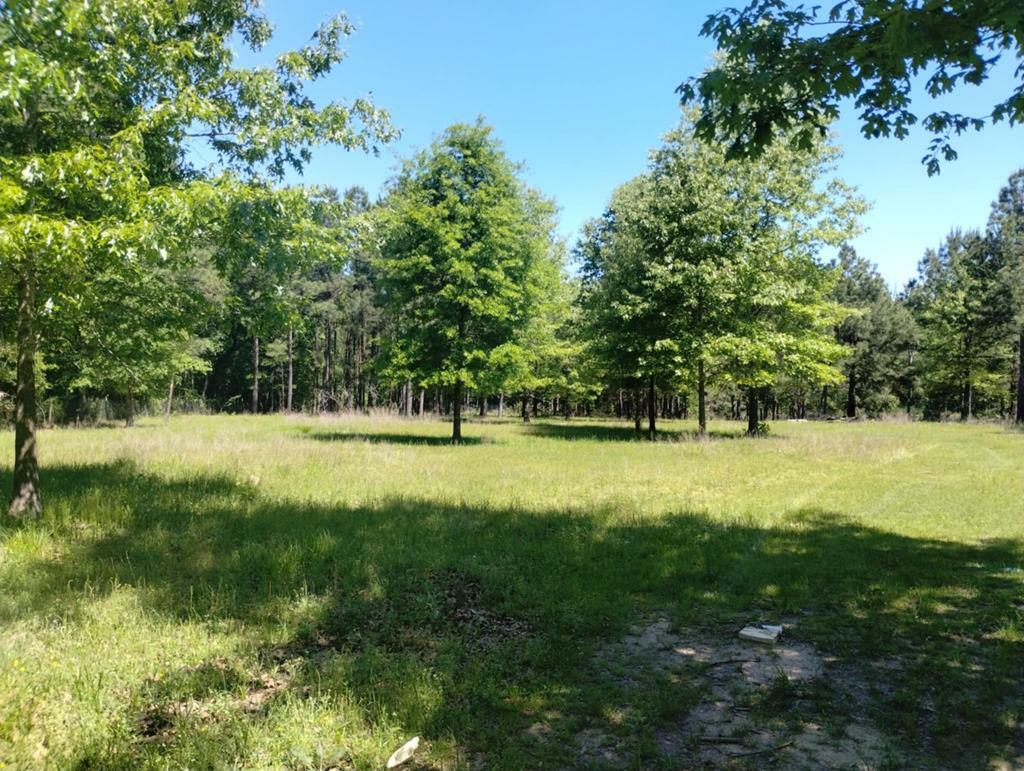 Property Photo: Tba Coach Redd Road TX 75901