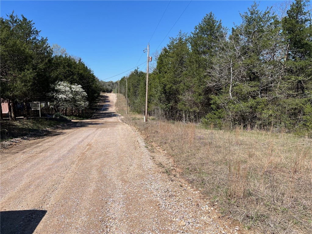 Property Photo:  Lot 23 Elm Street  AR 72644 