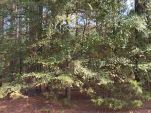 Property Photo: W Chimney Rock Road AR 72847