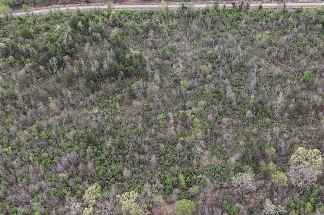 Property Photo: 11.32 Acre County Road 2228 (A) AR 72840