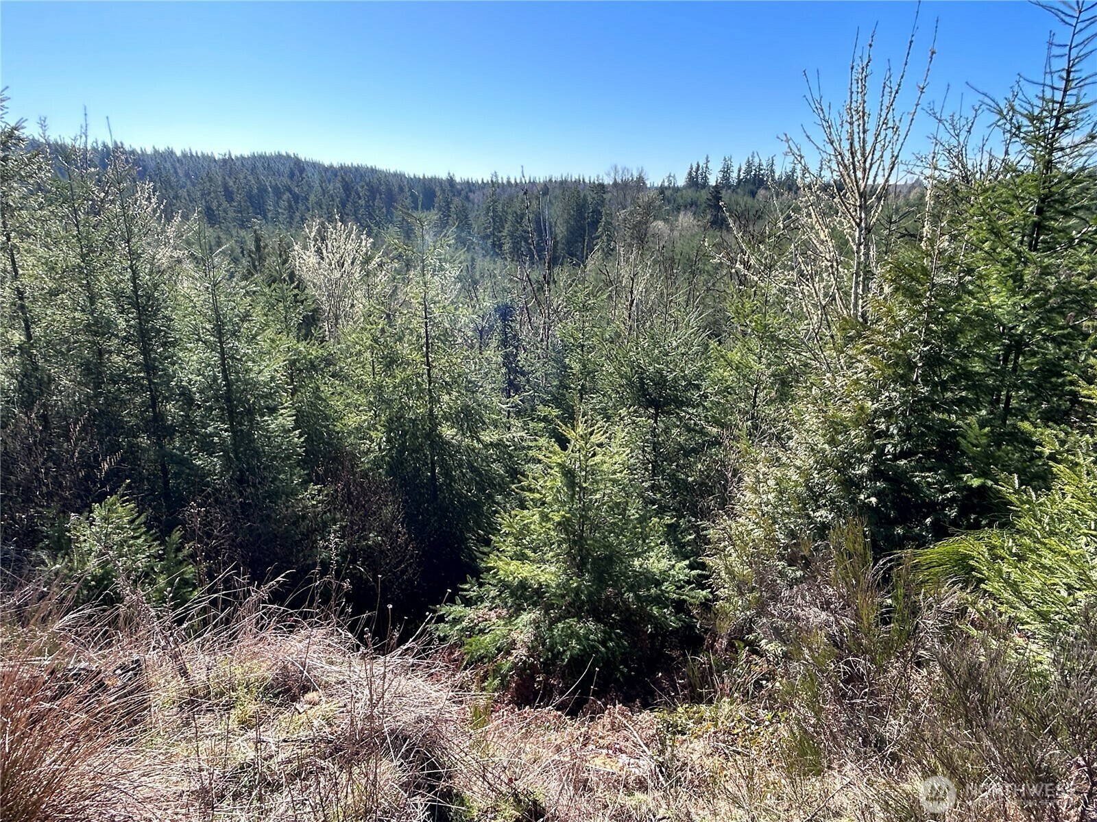 Property Photo: 0 Nka Salmon Creek Road WA 98591