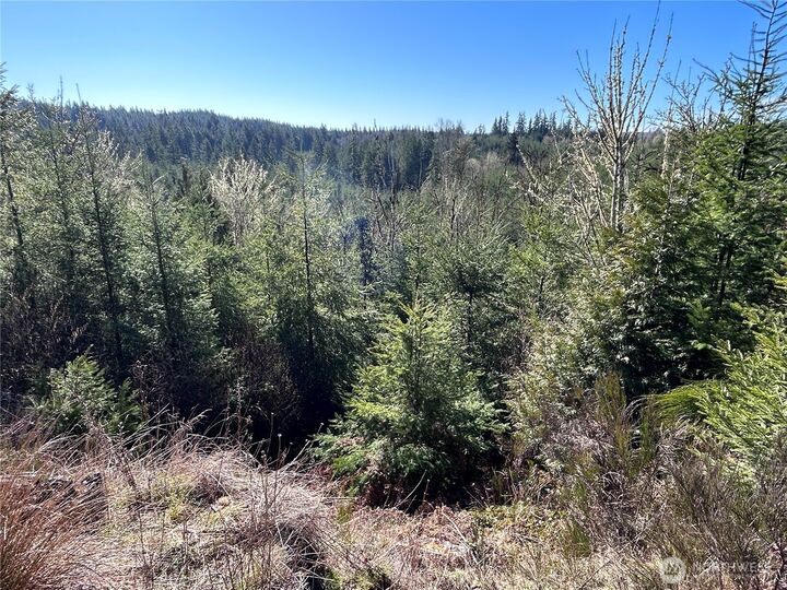 Property Photo:  0 Nka  Salmon Creek Road  WA 98591 