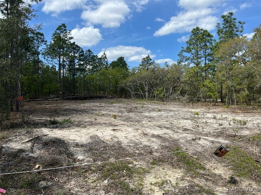 Property Photo: 10848 SE 131 Terrace FL 34431